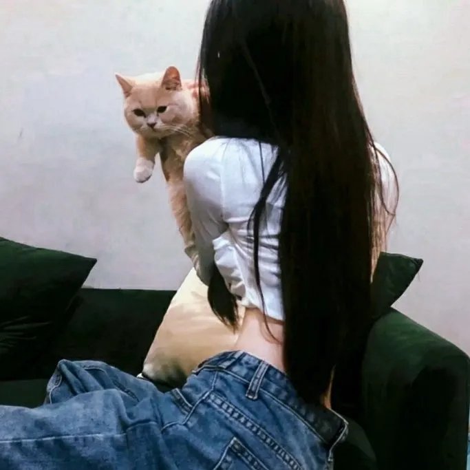 所向披靡